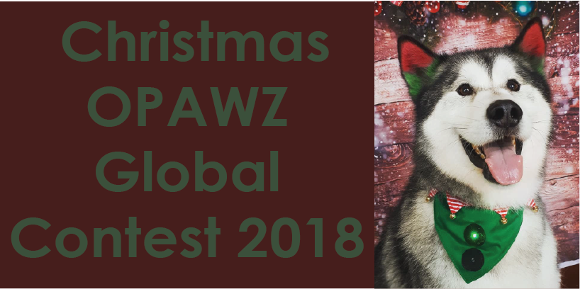 Amazing Designs of OPAWZ Christmas Global Contest 2018!