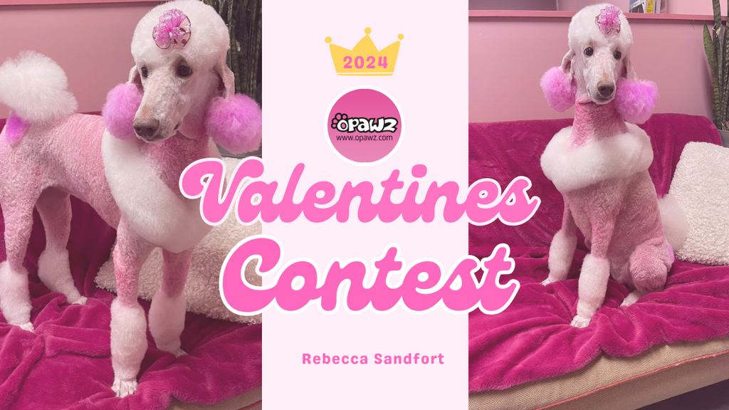 OPAWZ Valentine-Themed Creative Dog Grooming Contest 2024