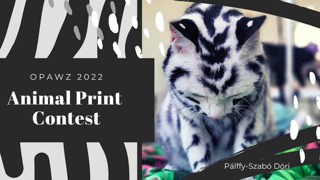 OPAWZ Animal Print Creative Grooming Contest 2022