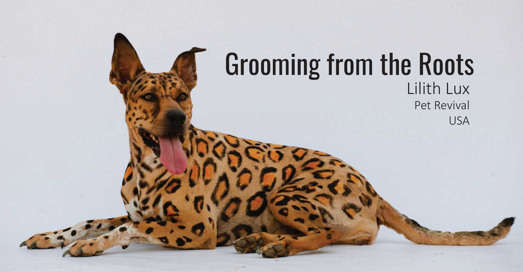 Grooming from the Roots - OPAWZ Creative Pet Grooming Tips & Tricks