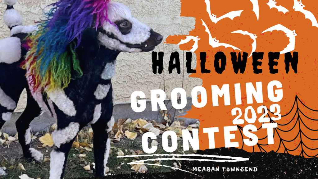 OPAWZ Halloween Contest 2023 | Unleash Spooktacular Creativity in Your Dog Grooming