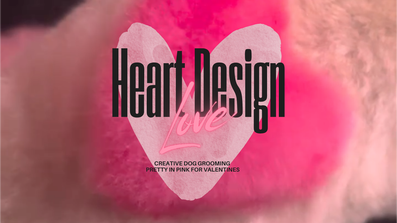 Valentine’s Heart Creative Grooming Using OPAWZ Pet Hair Dyes