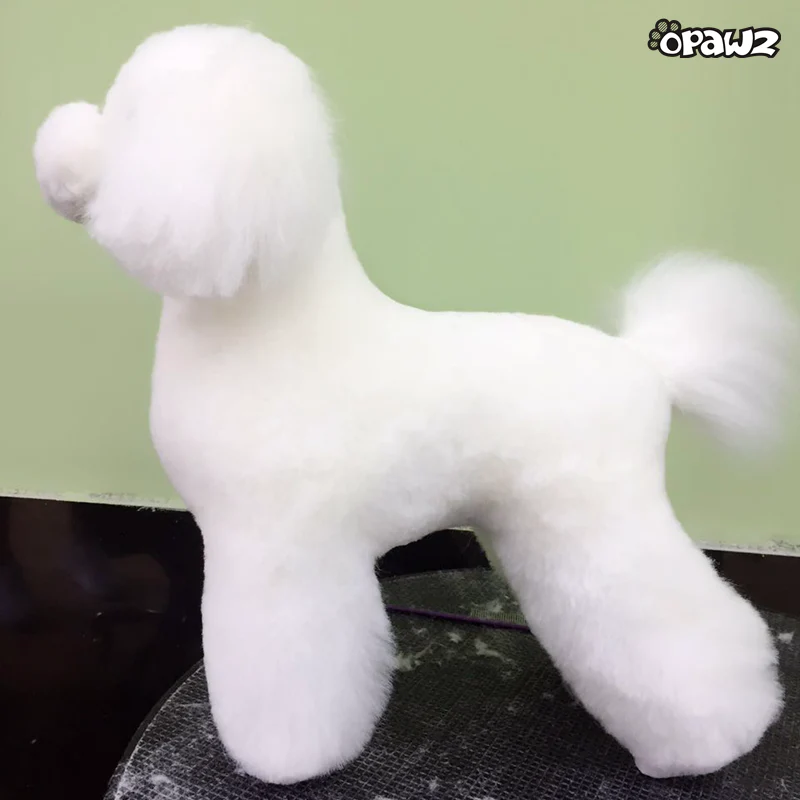 How to Install & Disassemble a OPAWZ Model Dog & Wig