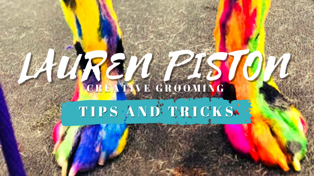 Creative Dog Grooming Tips & Tricks Live Demo By Lauren Piston