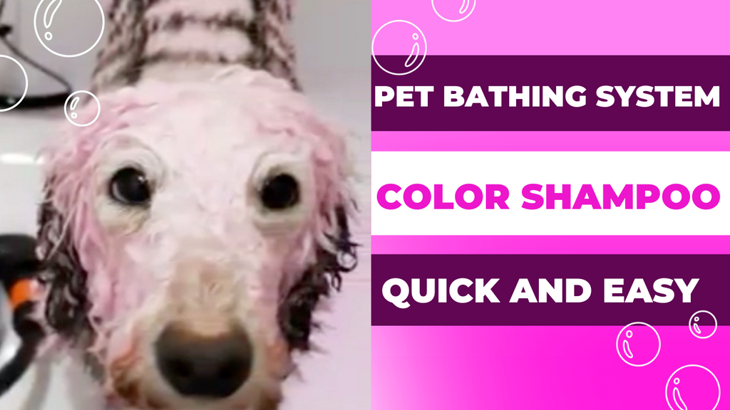 Use OPAWZ Pet Bathing System to Apply Funky Color Shampoo - Easy and Fast!