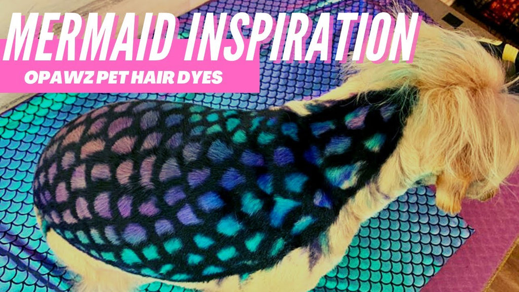 Mermaid Inspiration Creative Dog Grooming - OPAWZ Pet Hair Dyes Tutorial