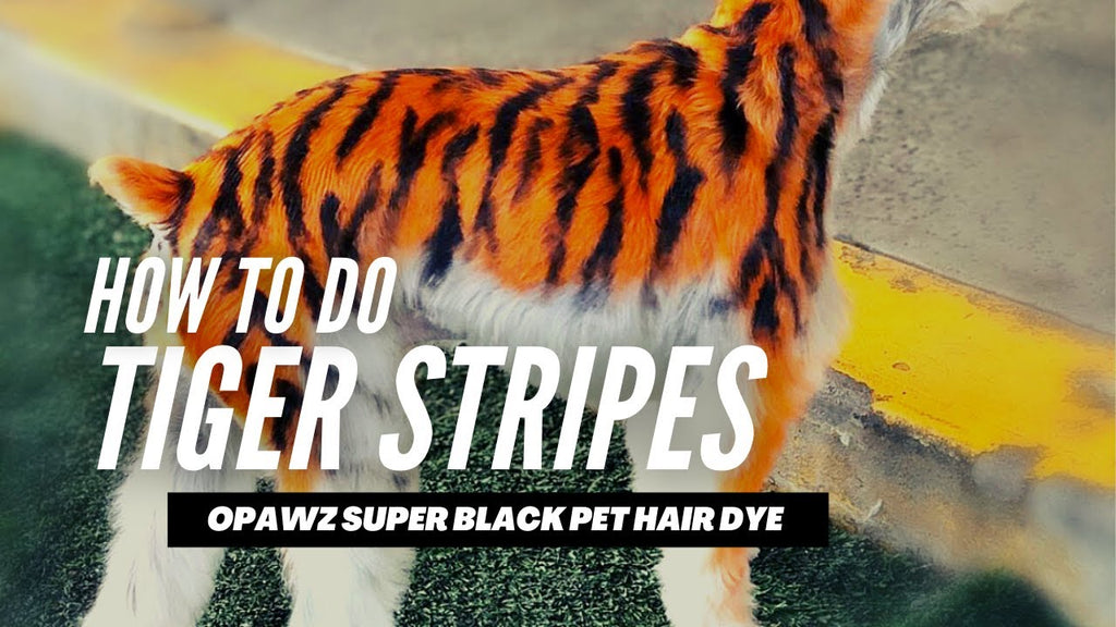 Tiger Stripes Creative Dog Grooming - OPAWZ Super Black Pet Hair Dye Grooming Tutorial