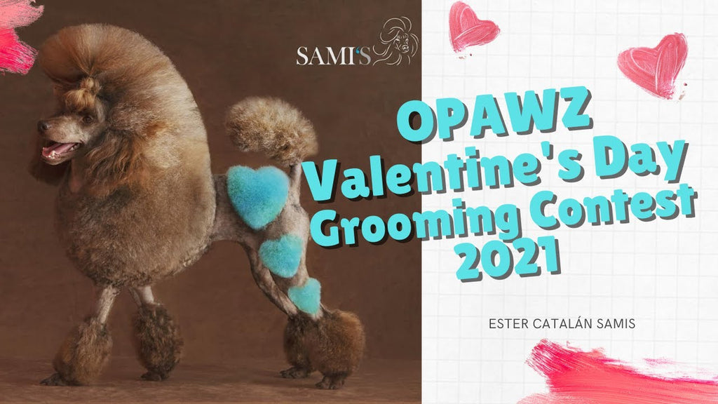 Valentine's Day Creative Pet Grooming Contest 2021