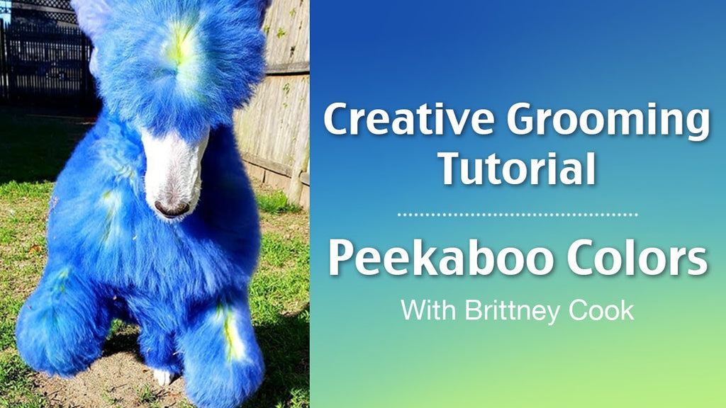Peekaboo Design With Pet Hair Dyes - OPAWZ Creative Grooming Tutorial