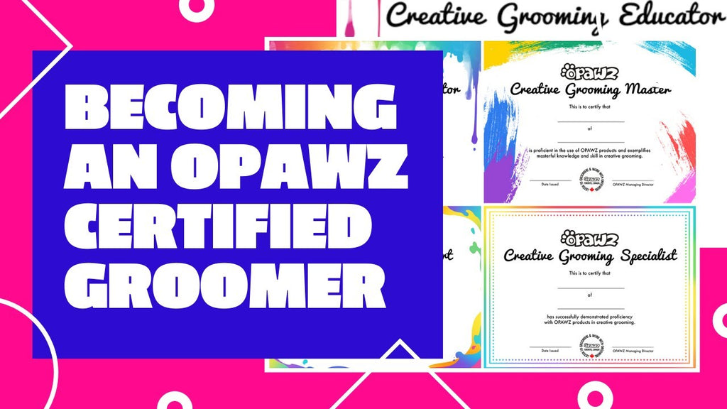 Becoming an OPAWZ Certified Groomer | OPAWZ Creative Grooming