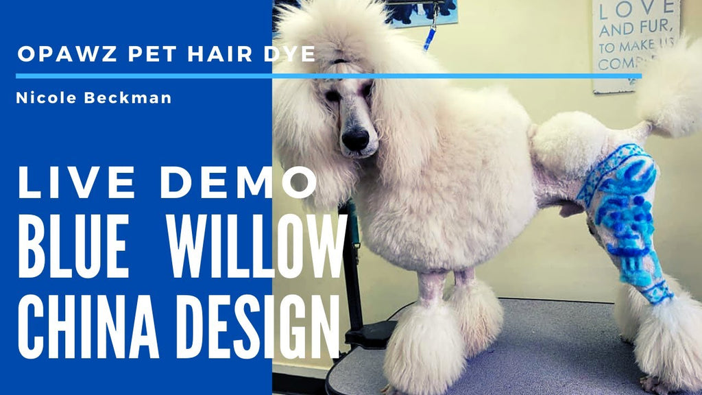 Live Demo For Blue Willow China Design - OPAWZ Creative Dog Grooming Tutorial