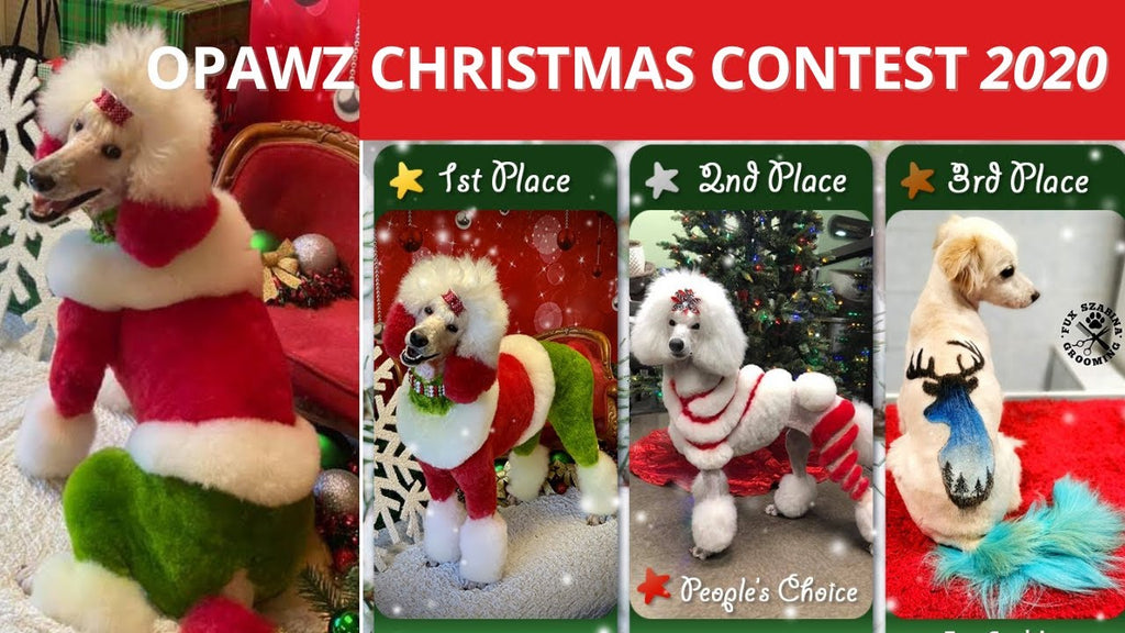 OPAWZ Christmas Creative Pet Grooming Contest 2020