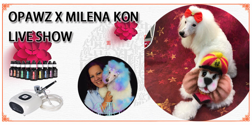 Chinese New Year Theme Design with OPAWZ Airbrush Machine - Milena Kon Live Show [Video]