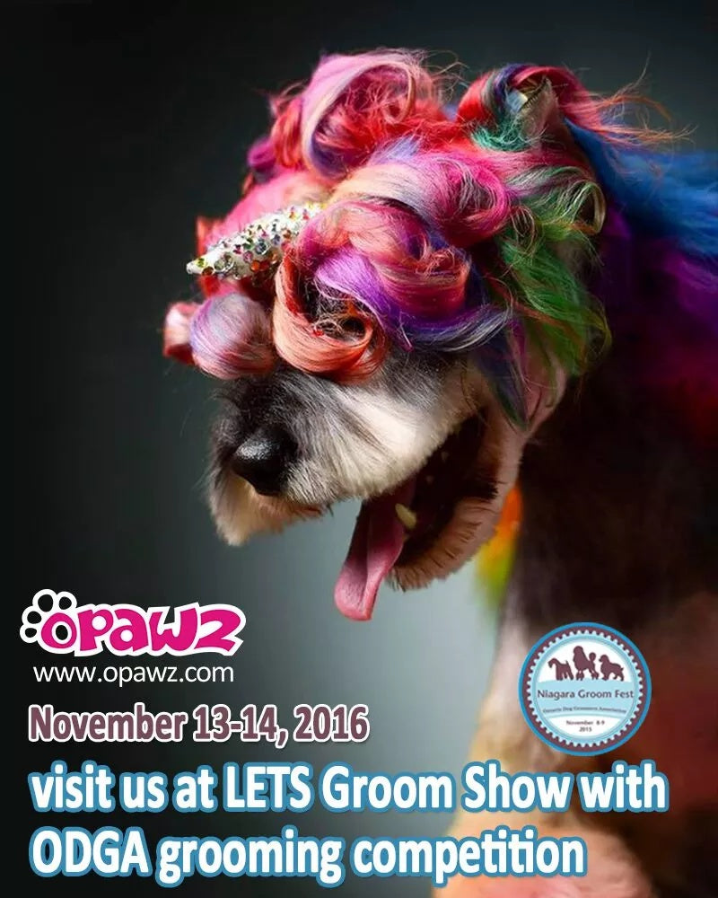 Visit OPAWZ at LETS Groom Show with ODGA grooming competition