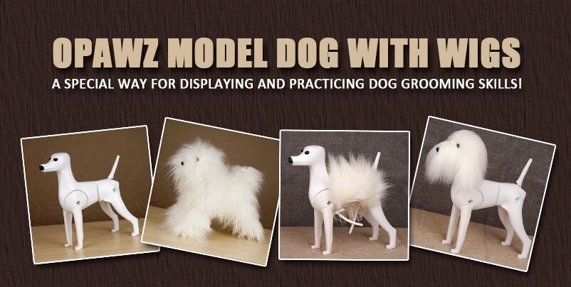 picture of 4 model dog grooming mannequins 