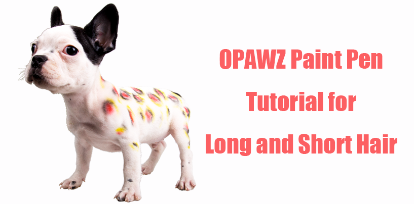 OPAWZ Paint Pen Tutorial - Long and Short Hair