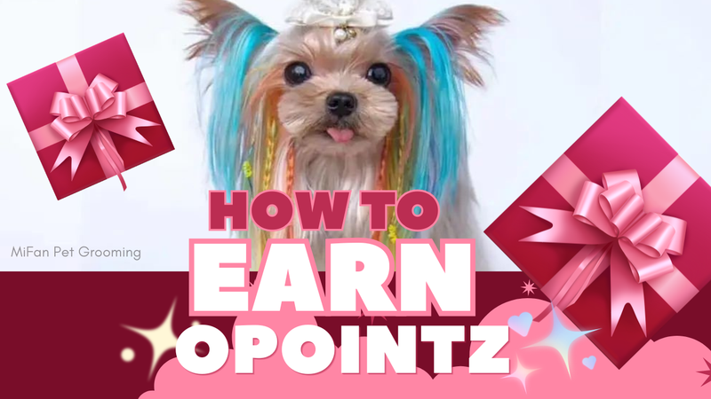 How to Earn OPAWZ Points (OPOINTZ)