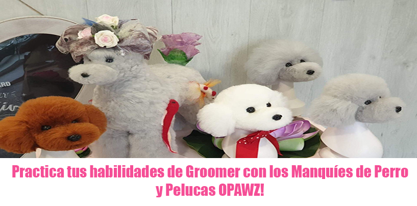 Practica tus habilidades de Groomer con los Maniquíes de Perro y Pelucas de OPAWZ!