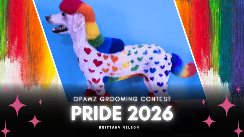 OPAWZ Pride Creative Dog Grooming Contest 2026
