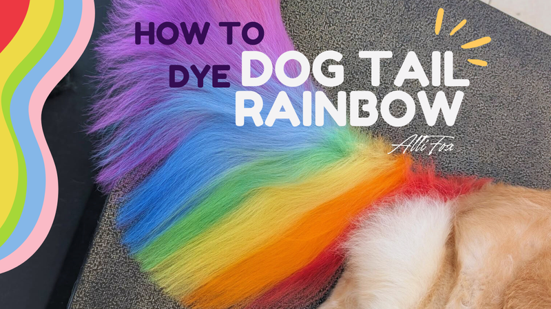 How To Dye Dog Tail Rainbow with OPAWZ