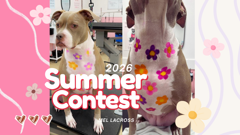 OPAWZ Summer Creative Grooming Contest 2026