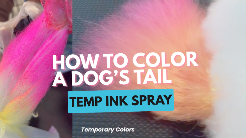 How to Color a Dog’s Tail with OPAWZ Temp Ink Spray