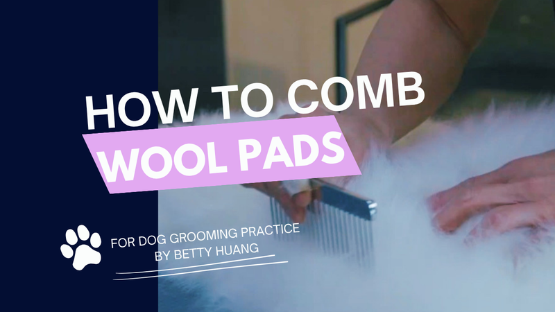 How To Comb Wool Pads for Dog Grooming Practice