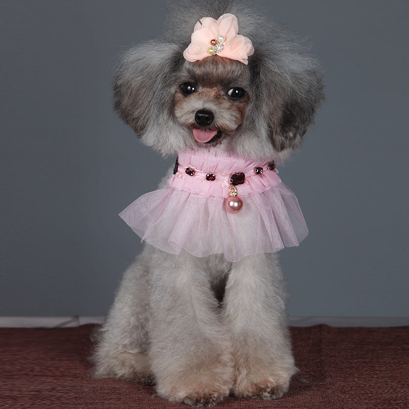 🎀 Pet Collars