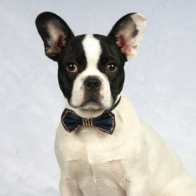 🎀 Dog Bow Ties