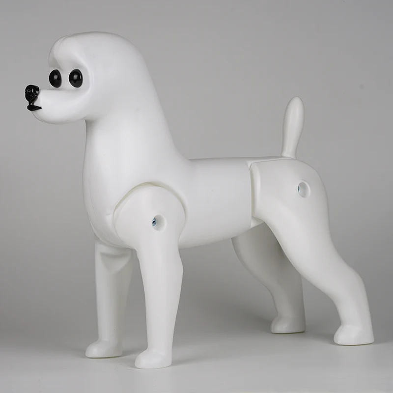 Bichon Model Dog