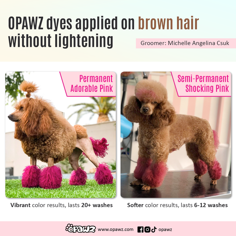 Dog Hair Dye - Adorable Pink (PD03)