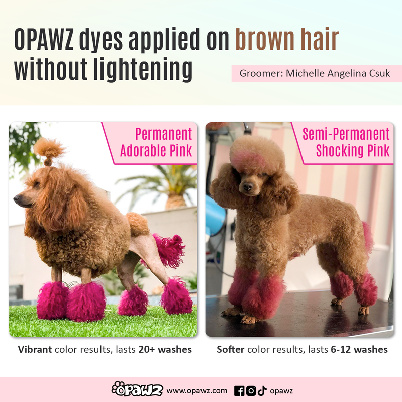 Teinture pour poils de chien - Adorable rose (PD03)