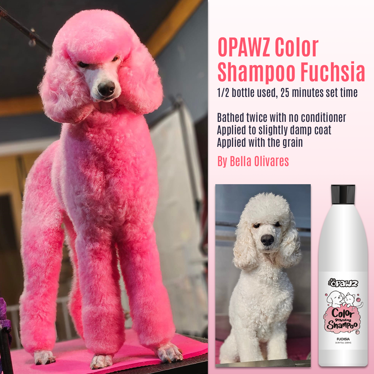 OPAWZ Funky Color Shampoo Fuschia 500ml (FC08) - Main Image