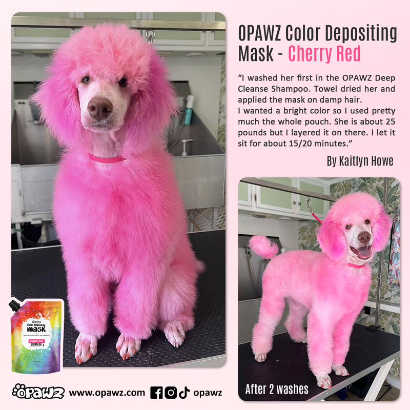 OPAWZ Color Depositing Mask 6 Colors Value Pack (VP47)