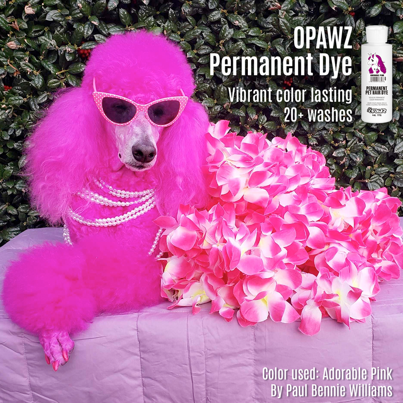 Adorable Pink Dog Hair Dye by OPAWZ Lasts 20 Washes