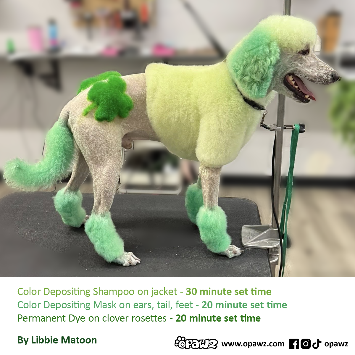 Champú OPAWZ Funky Color - Verde - 500 ml (FC04)