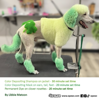 Champú OPAWZ Funky Color - Verde - 500 ml (FC04)