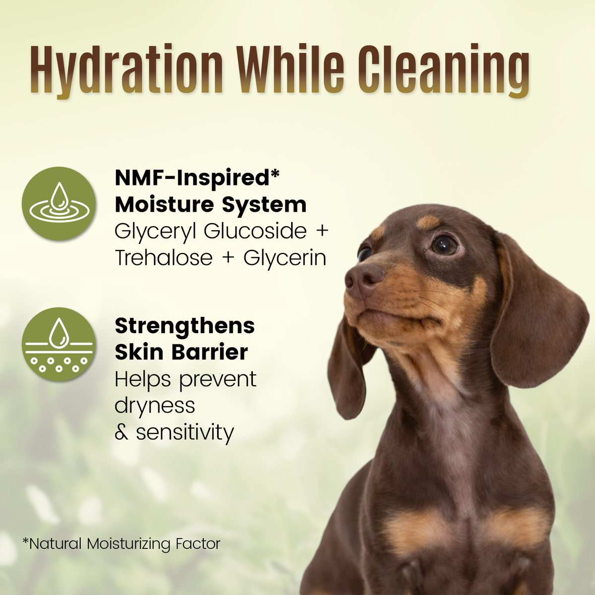 OPAWZ Botanical Ear Wash