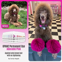 Teinture pour poils de chien - Adorable rose (PD03)
