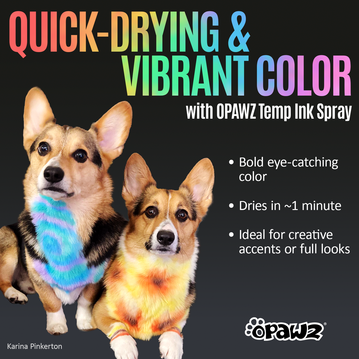 Temp Ink Spray - Green