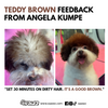 Dog Hair Dye - Teddy Brown (PD30)