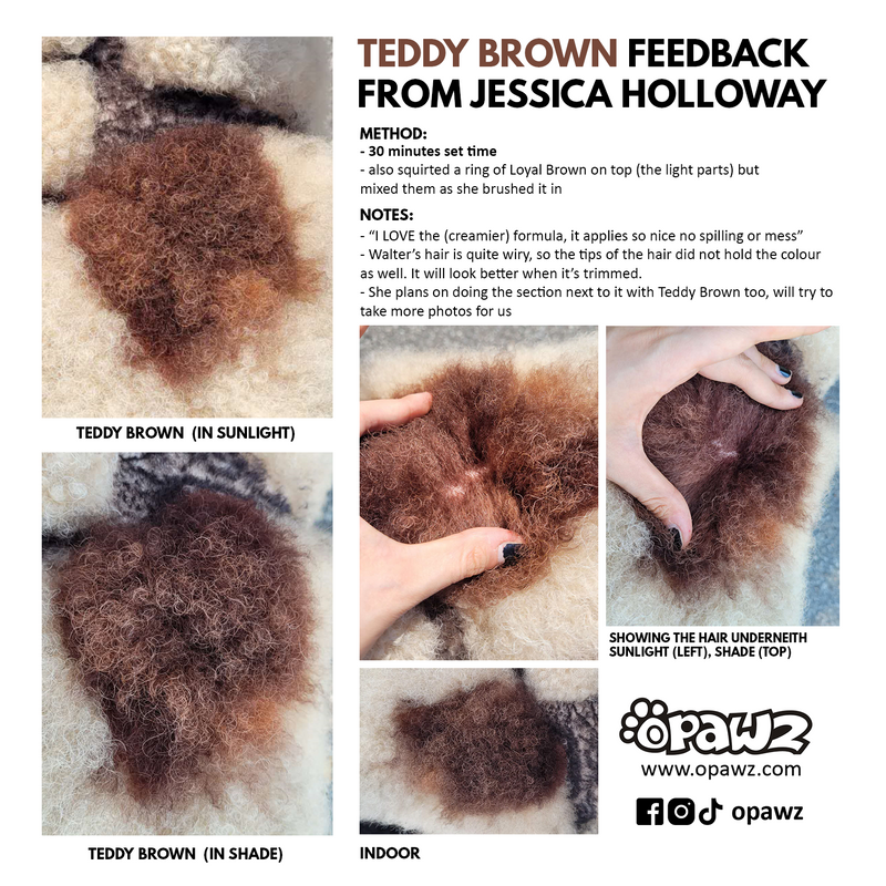 Testeur de teinture permanente Teddy Brown 4oz