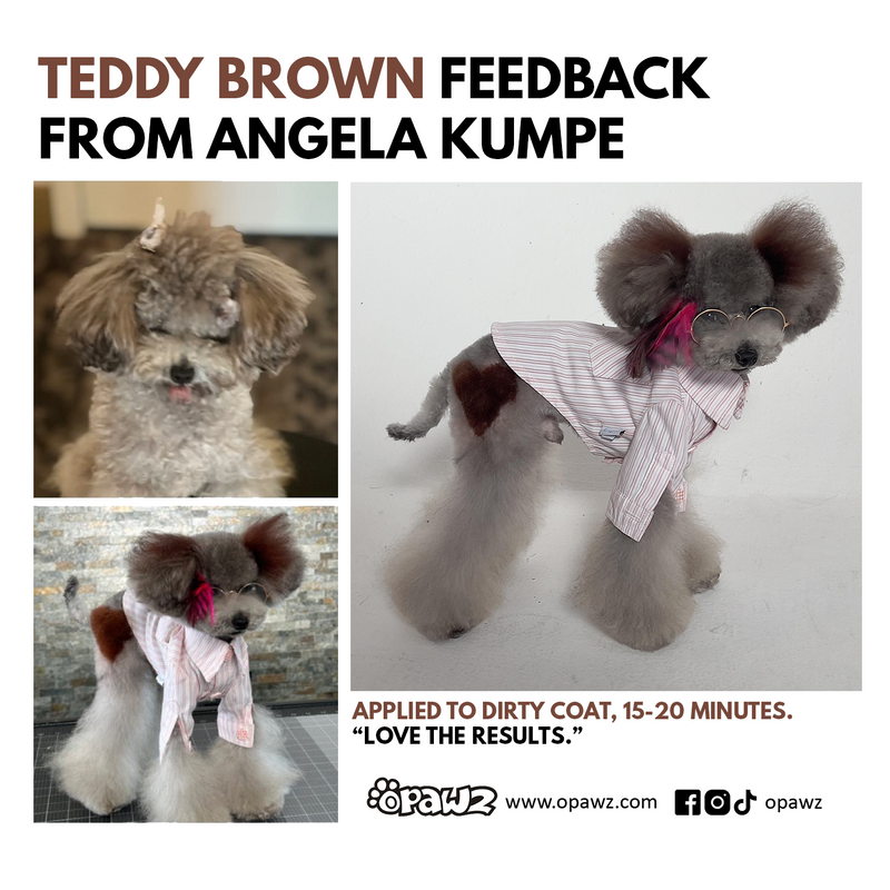 Dog Hair Dye - Teddy Brown (PD30)