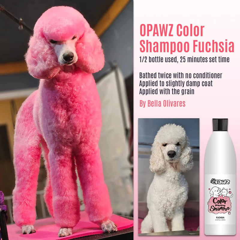 Pack économique de 7 shampooings colorés (VP39)