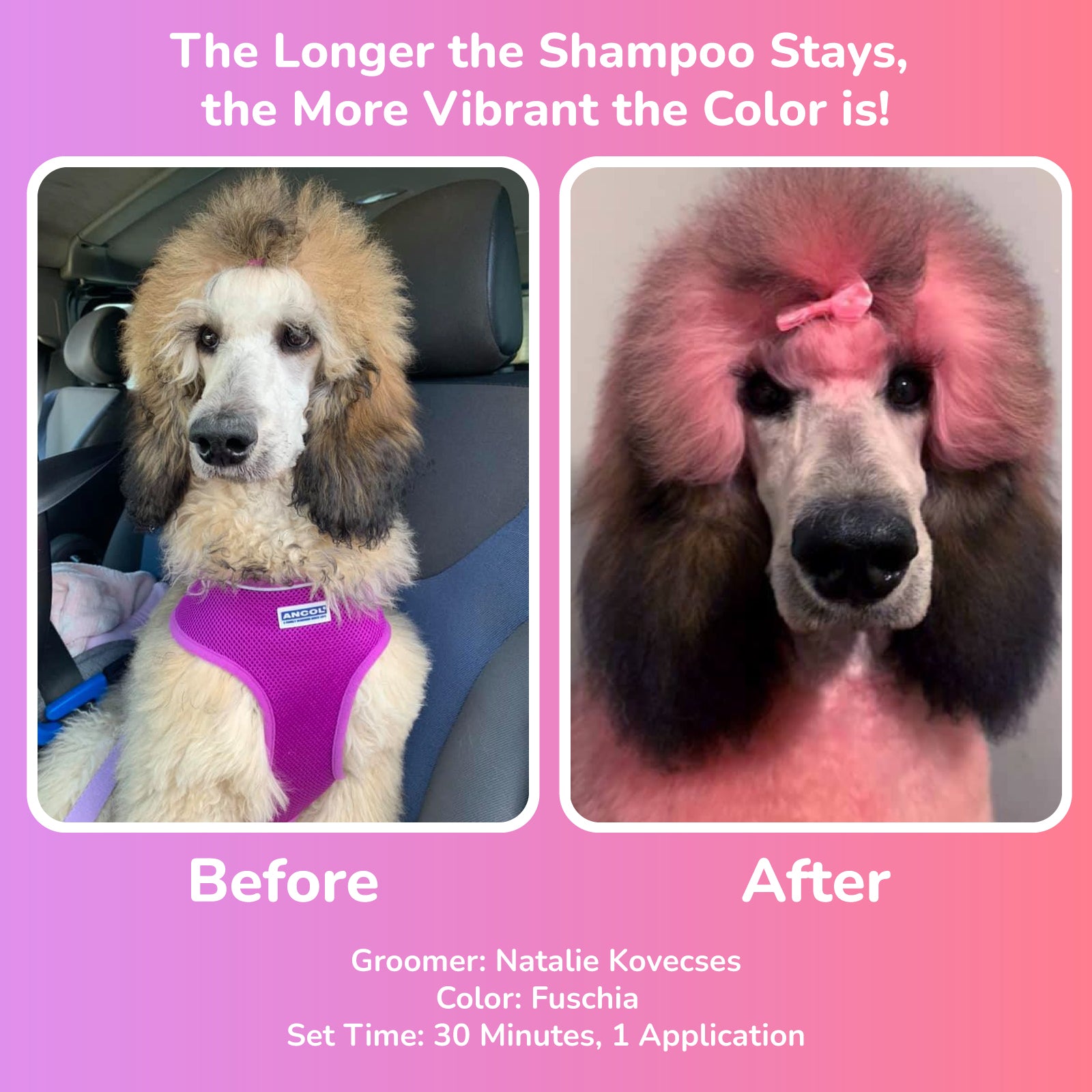 Color Shampoo 7pcs Value Pack (VP39) – OPAWZ