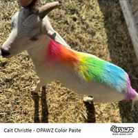 Color Paste Value Pack (VP72)