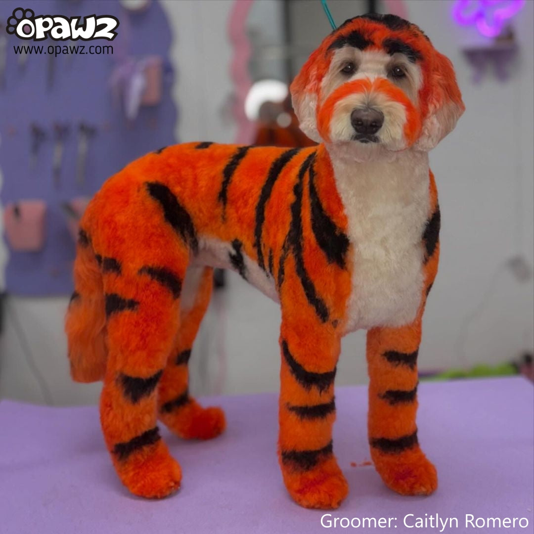 Flame Orange Dog Hair Dye by OPAWZ - Lasts 20 Washes