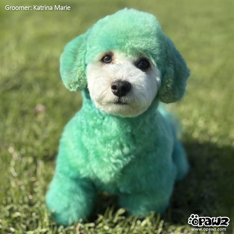 Mascarilla depositante de color OPAWZ - Rojo cereza - 200 ml (CM04)