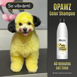 OPAWZ Funky Color Shampoo - Yellow - 500ml (FC07)