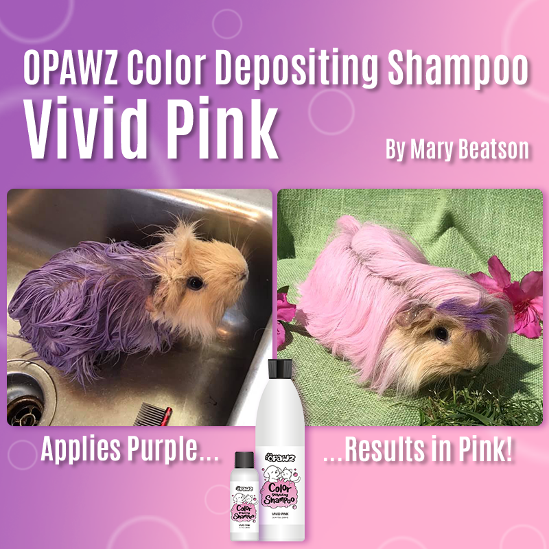 OPAWZ Funky Color Shampoo - Vivid Pink - 500ml (FC06)